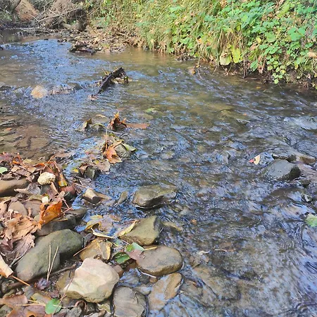 Casa de Férias Sielanka, Wyjatkowy Dom, Jacuzzi