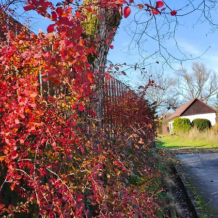 Sielanka, Wyjatkowy Dom, Jacuzzi Casa de Férias *