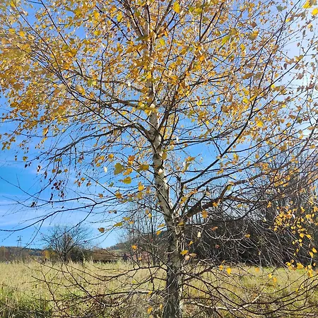 Sielanka, Wyjatkowy Dom, Jacuzzi Casa de Férias Slemien