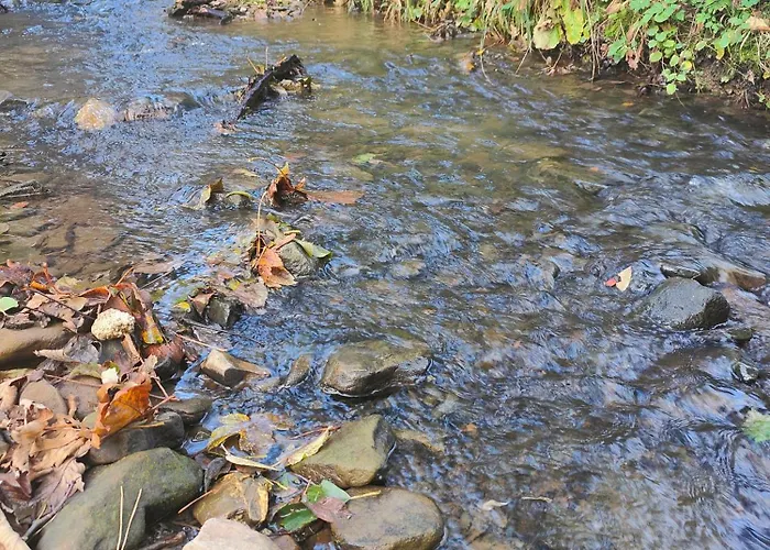 בית נופש Sielanka, Wyjatkowy Dom, Jacuzzi