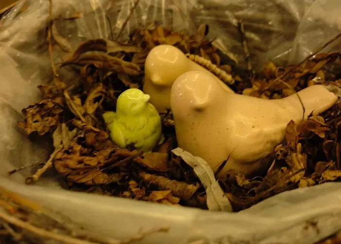 Sielanka, Wyjatkowy Dom, Jacuzzi