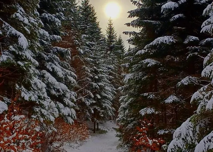 Sielanka, Wyjatkowy Dom, Jacuzzi בית נופש *