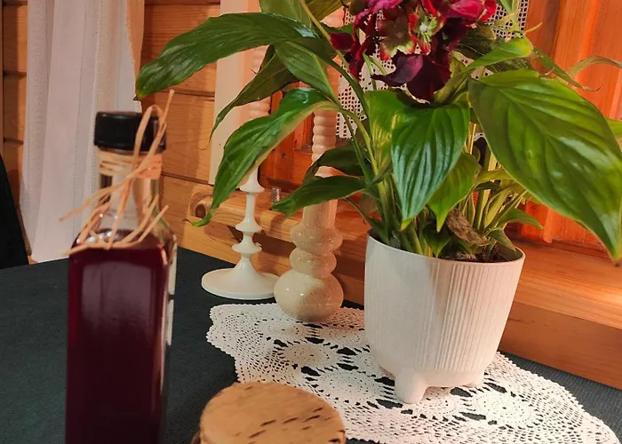 בית נופש Sielanka, Wyjatkowy Dom, Jacuzzi *