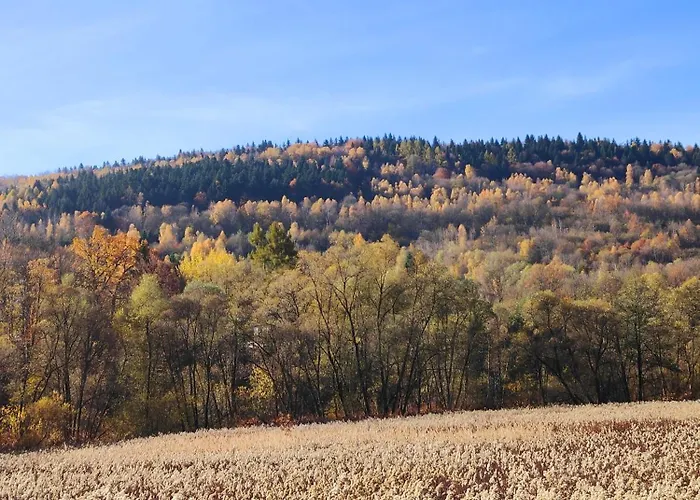 Sielanka, Wyjatkowy Dom, Jacuzzi Holiday home