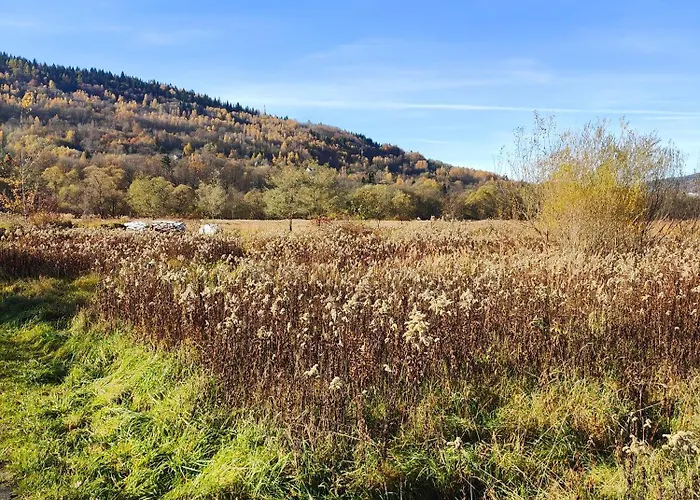 Sielanka, Wyjatkowy Dom, Jacuzzi * Slemien