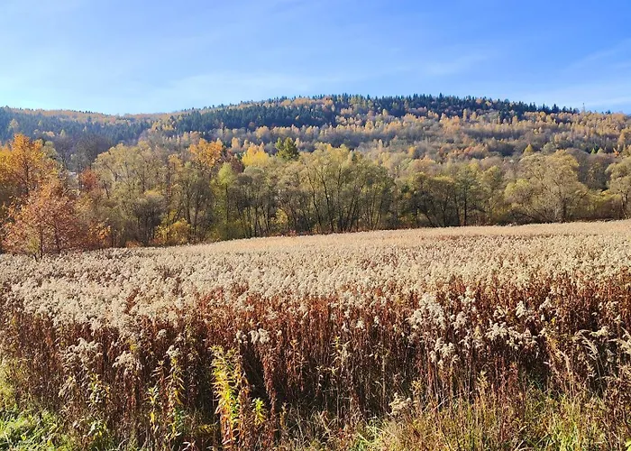 Дом отдыха Sielanka, Wyjatkowy Dom, Jacuzzi