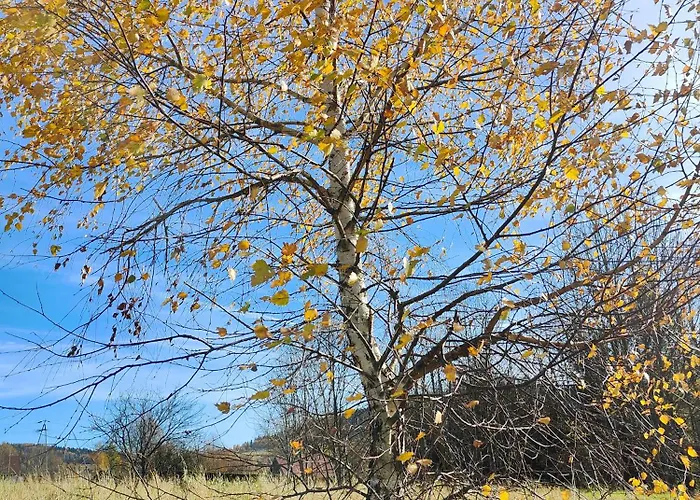 Sielanka, Wyjatkowy Dom, Jacuzzi Дом отдыха Slemien