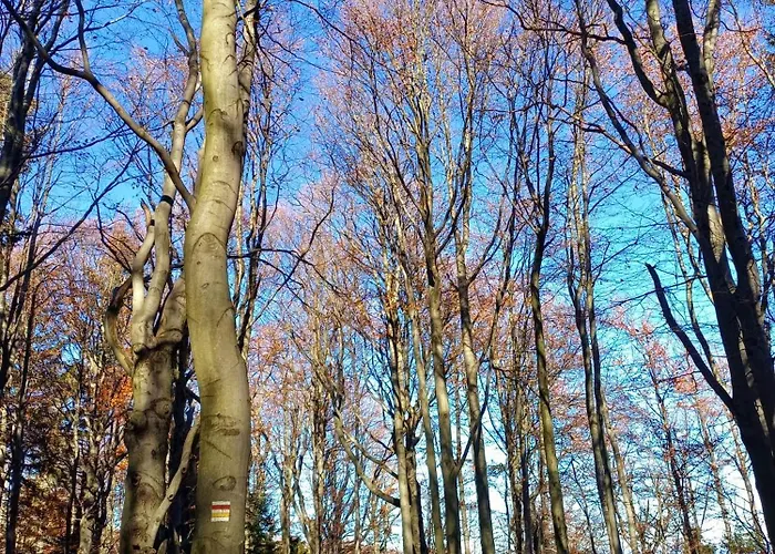 Sielanka, Wyjatkowy Dom, Jacuzzi Slemien